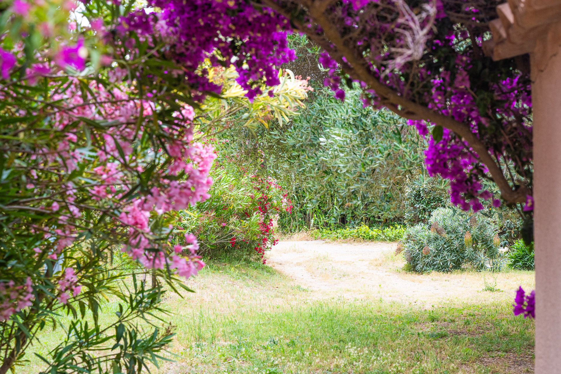 PORQUEROLLES CHEMIN FLURI © F SPIEKERMEIER web-3