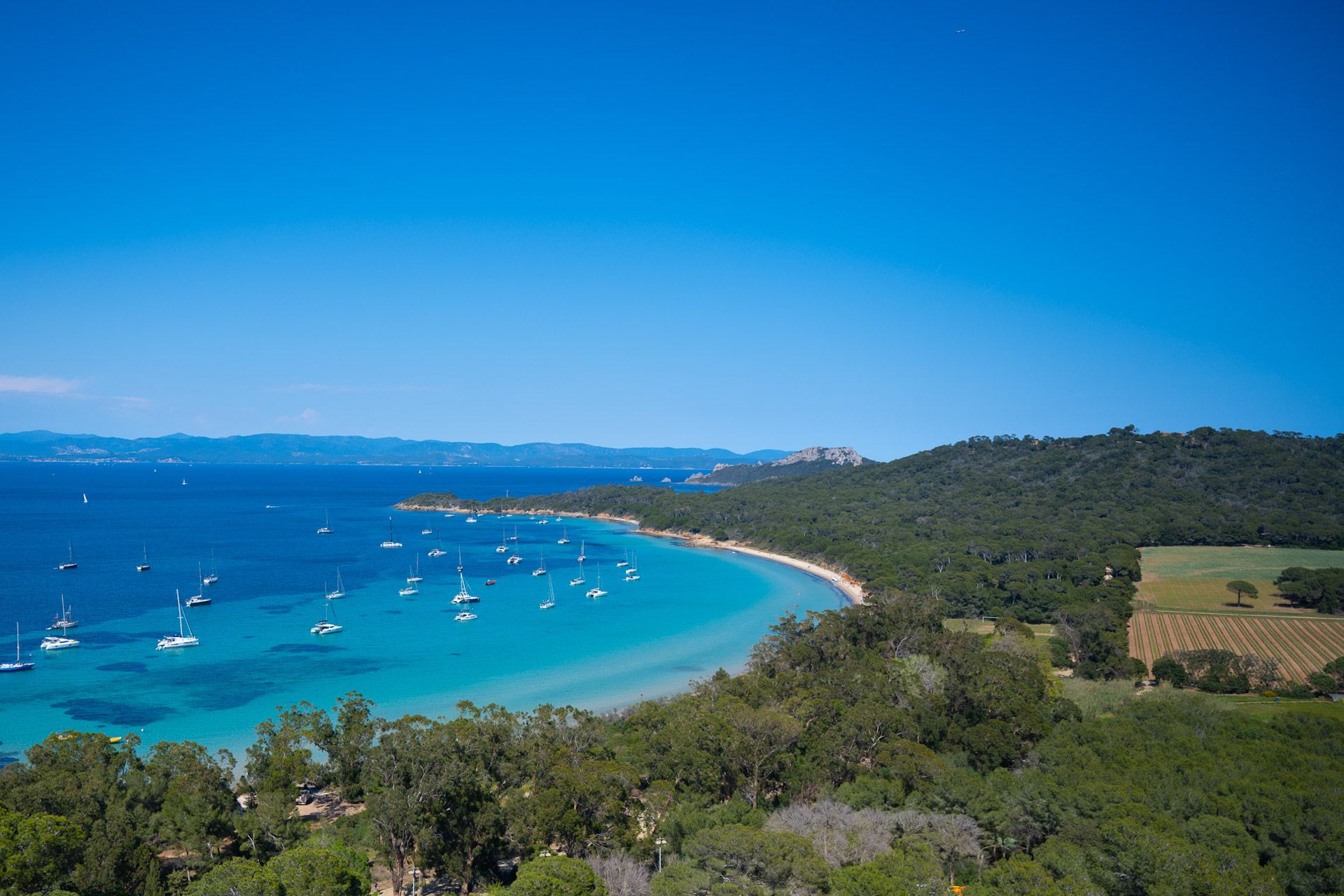 Ile de Porquerolles, Domaine de La Courtade