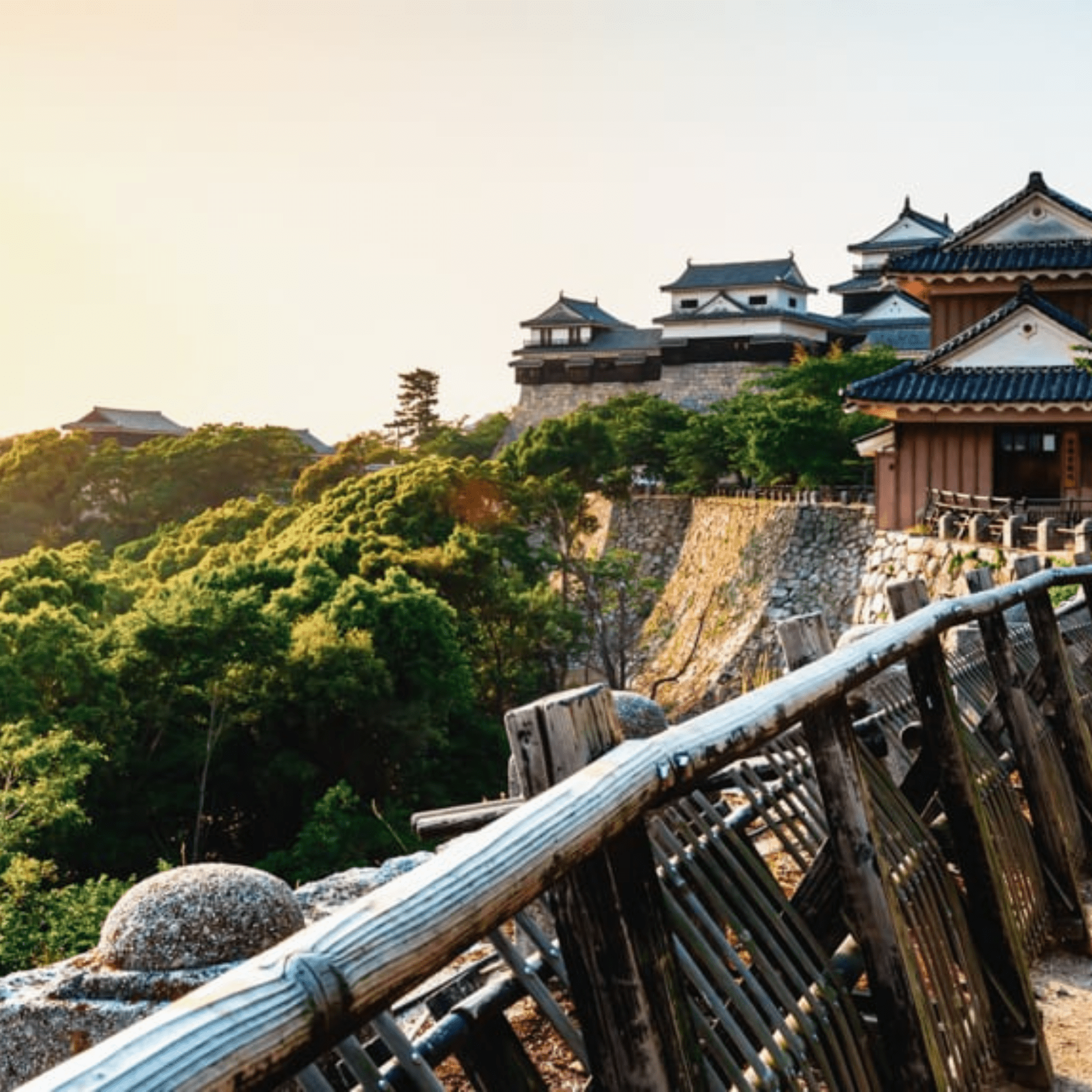 Château Matsuyama - Ile Shikoku @DR