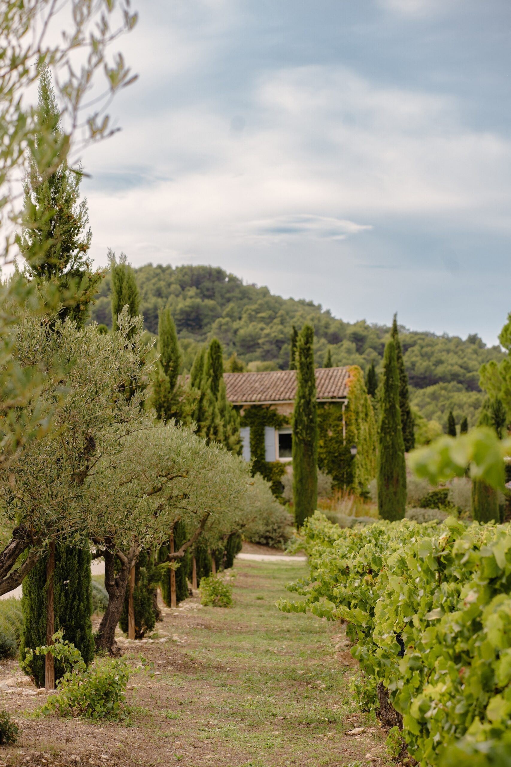 La Bastide de Marie ©Johanna Chaboud