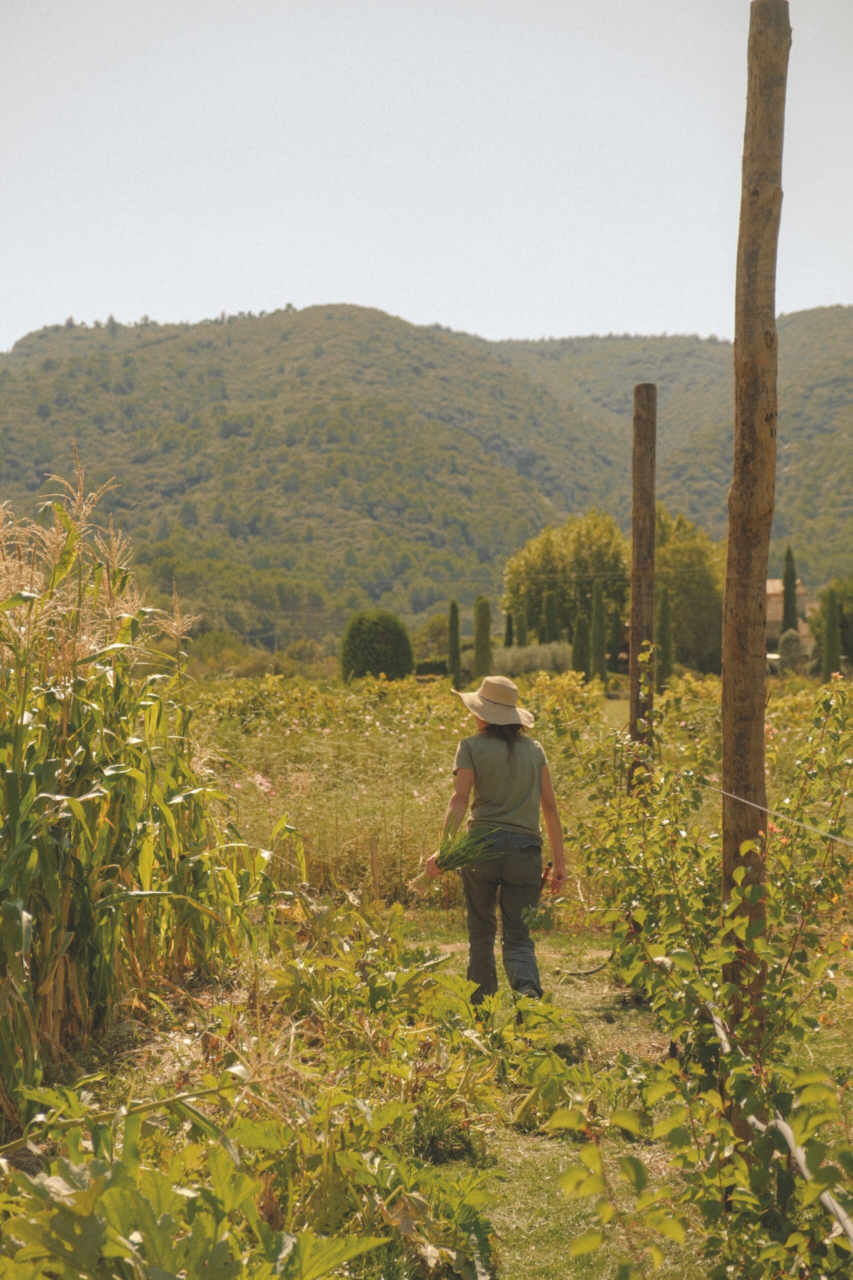 Potager ©November Studio