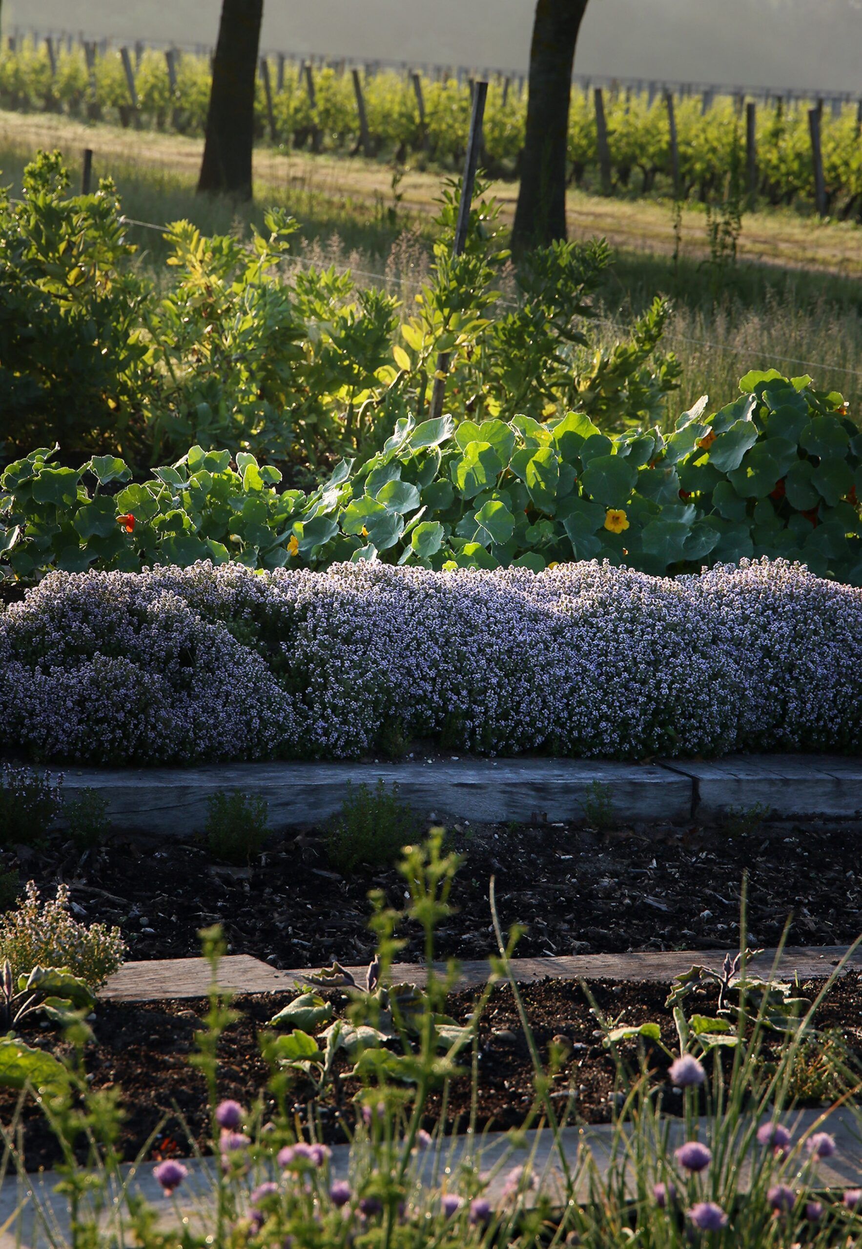 Exterieur du potager ©Latelierdestyle