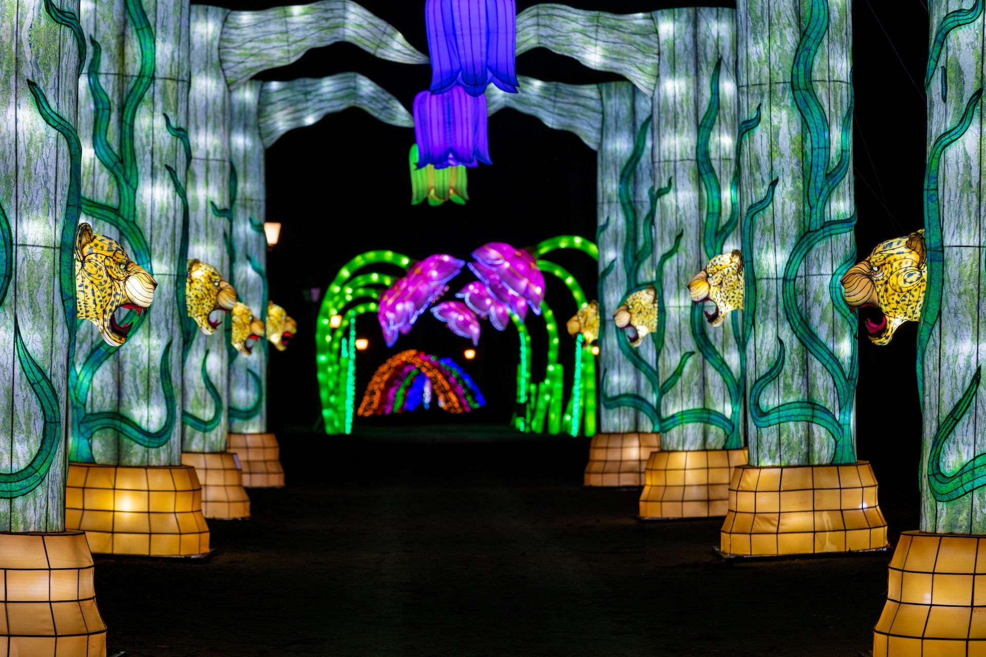 Festival des Lanternes au Château de Castel Novel