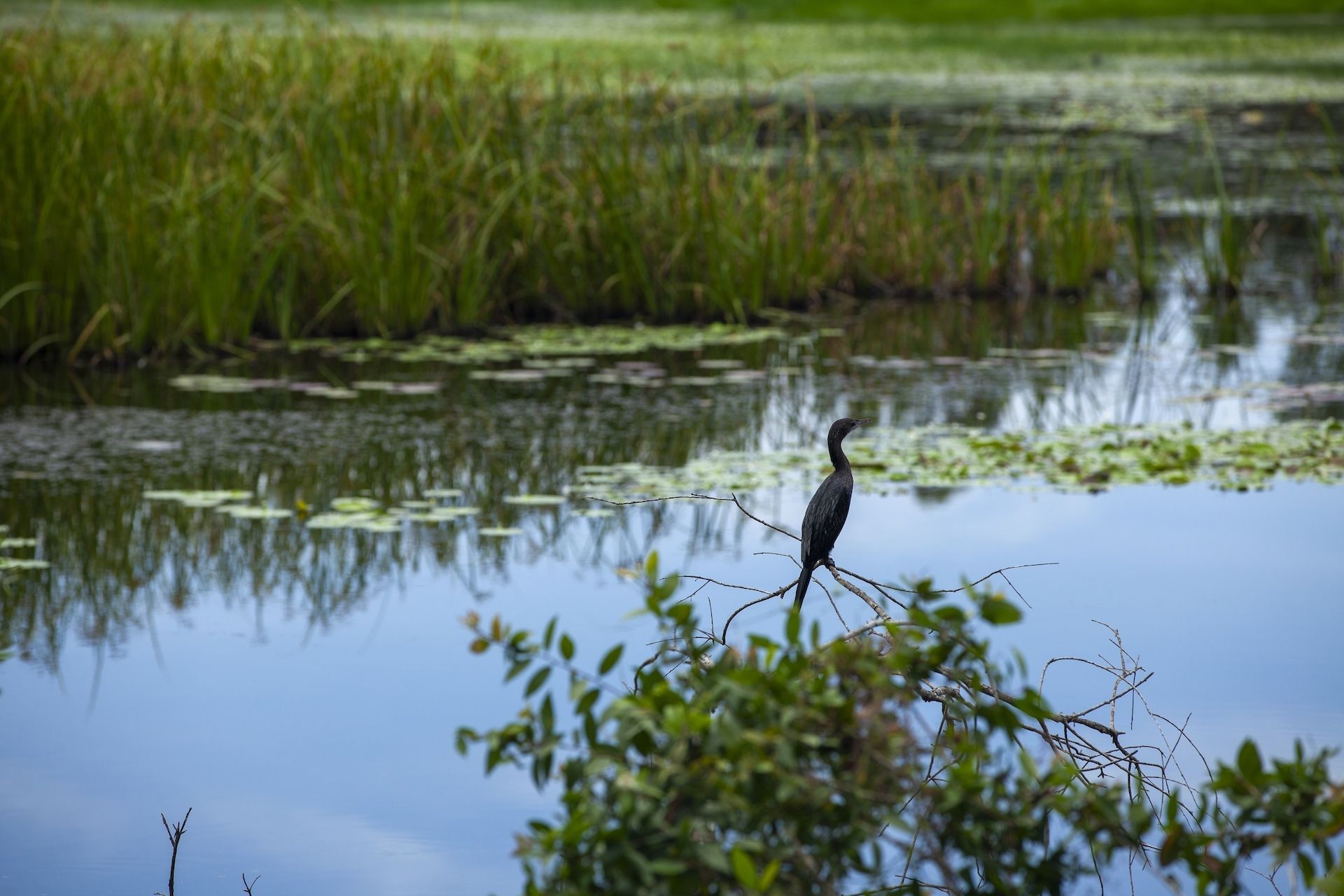 Rivages du Monde Croisiere-Mekong