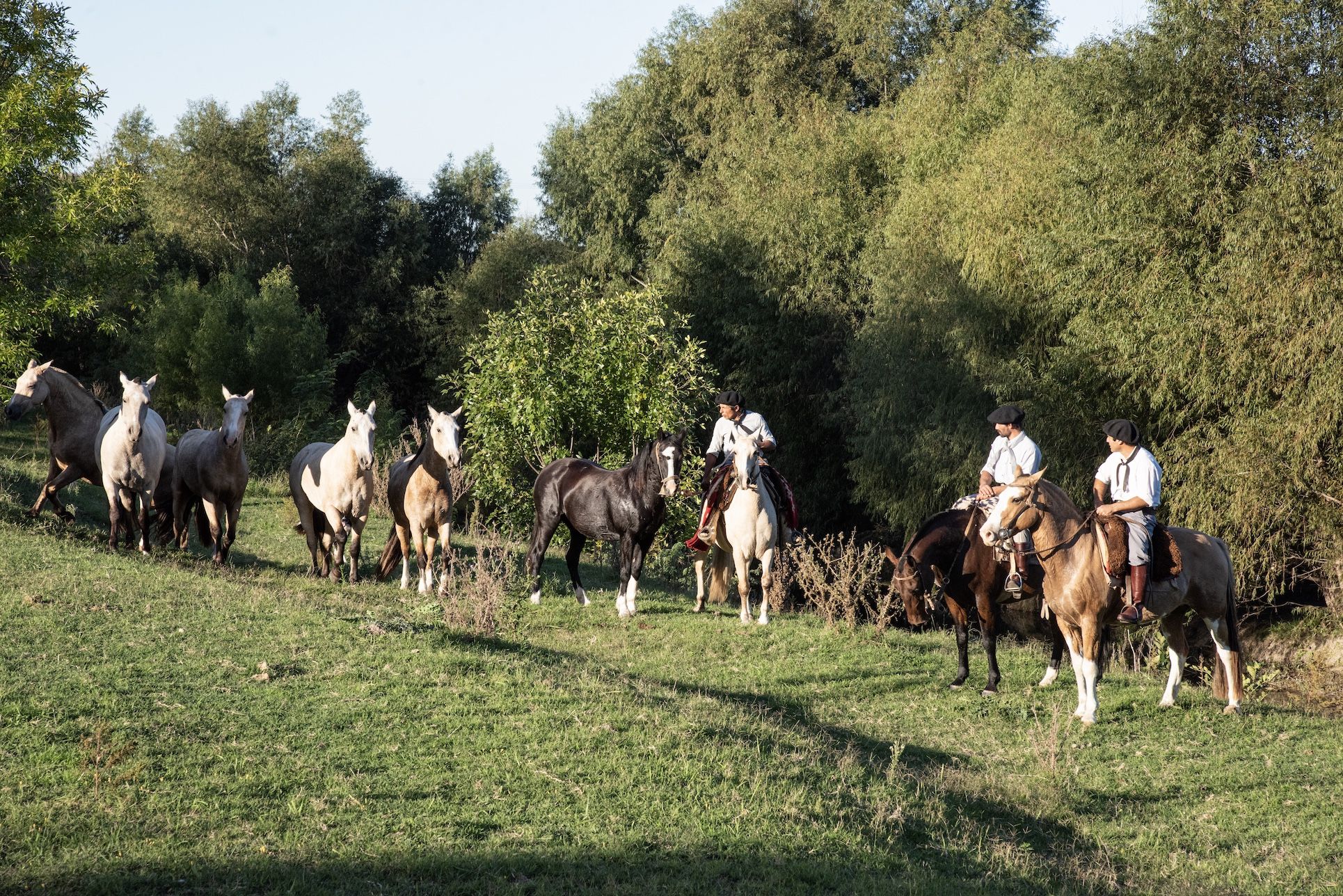 La Bamba de Areco, polo, criollo, Relais et Châteaux
