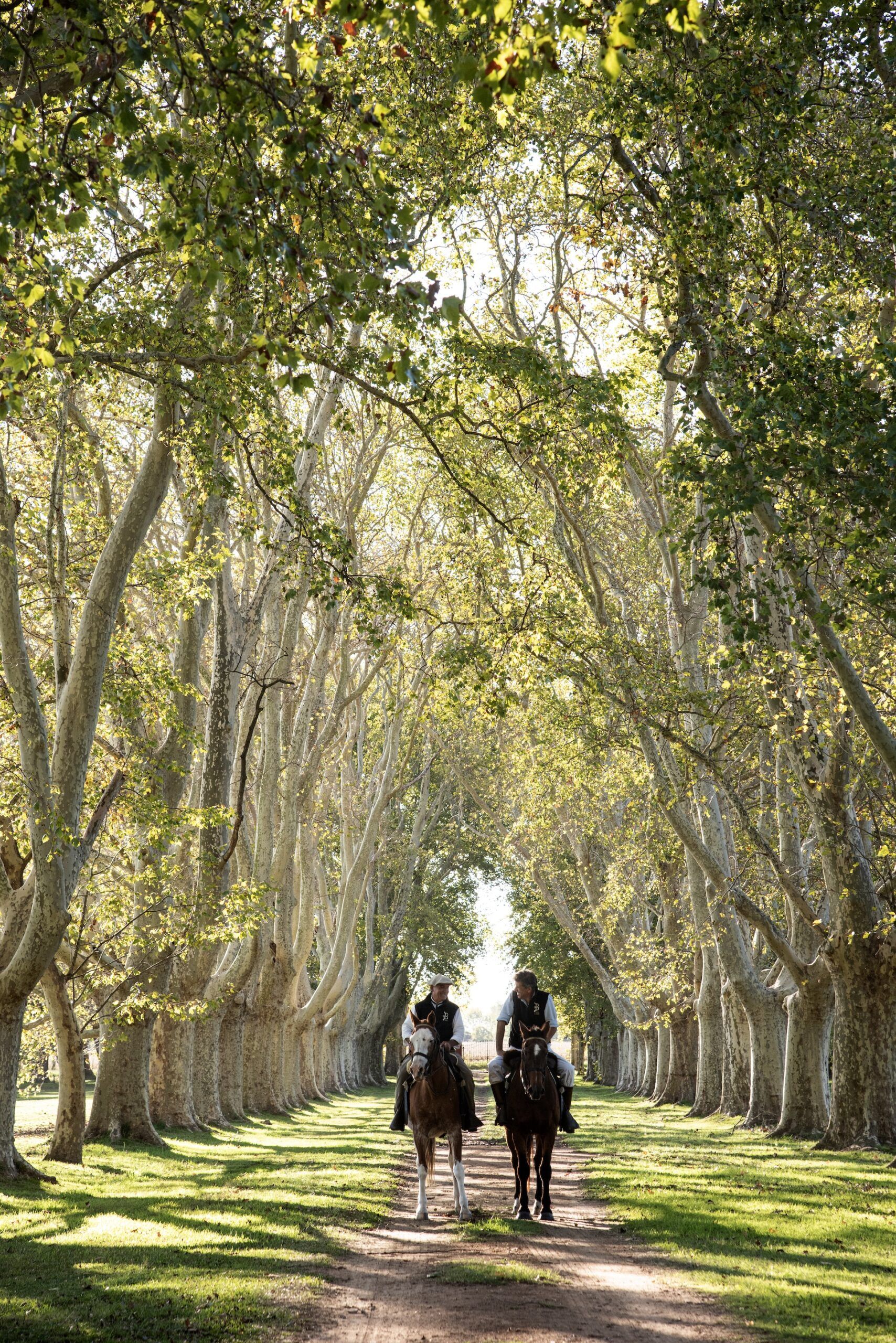 La Bamba de Areco, polo, criollo, Relais et Châteaux