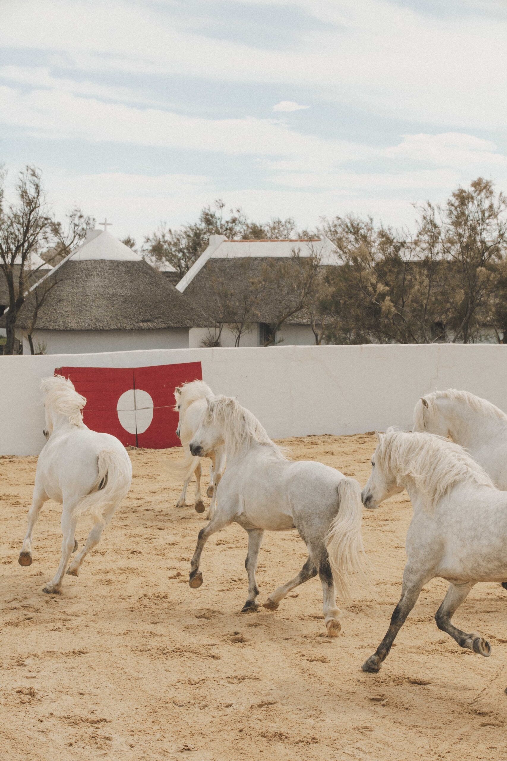Les Bains Gardians © Matthieu Salvaing