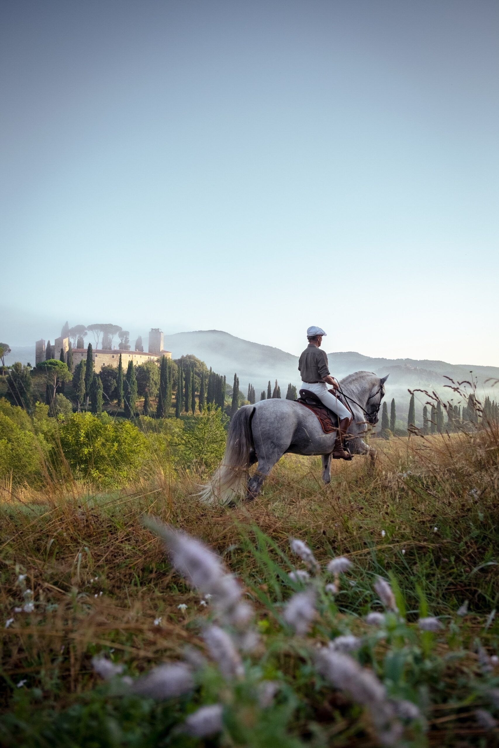 Chevaux espagnols du Haras de Reschio