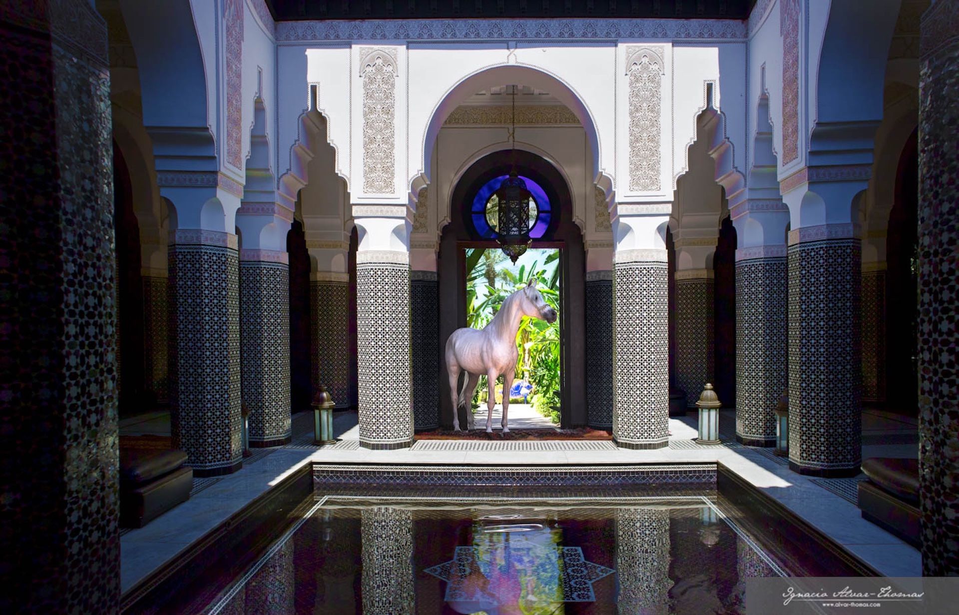 Selman Marrakech Horse - Patio