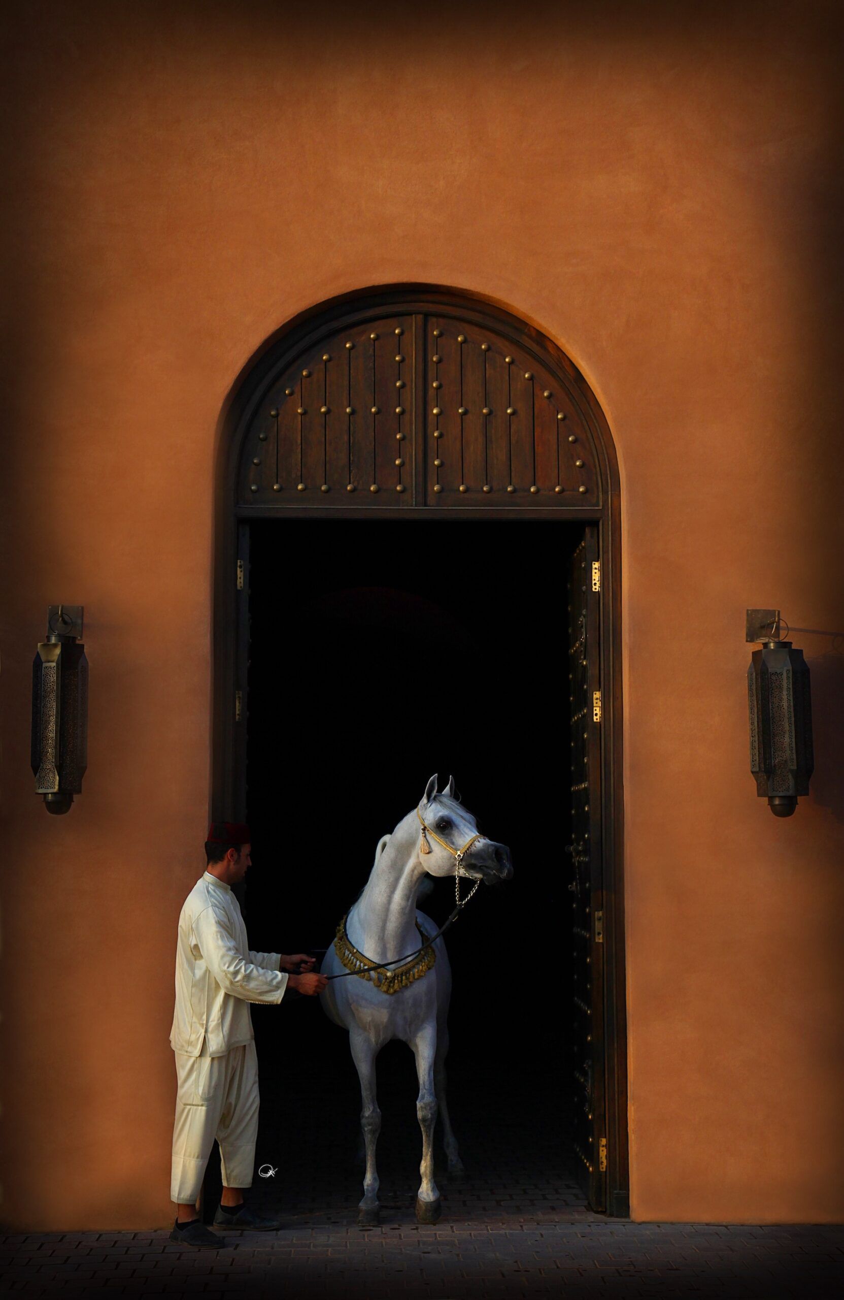 Selman Marrakech haras