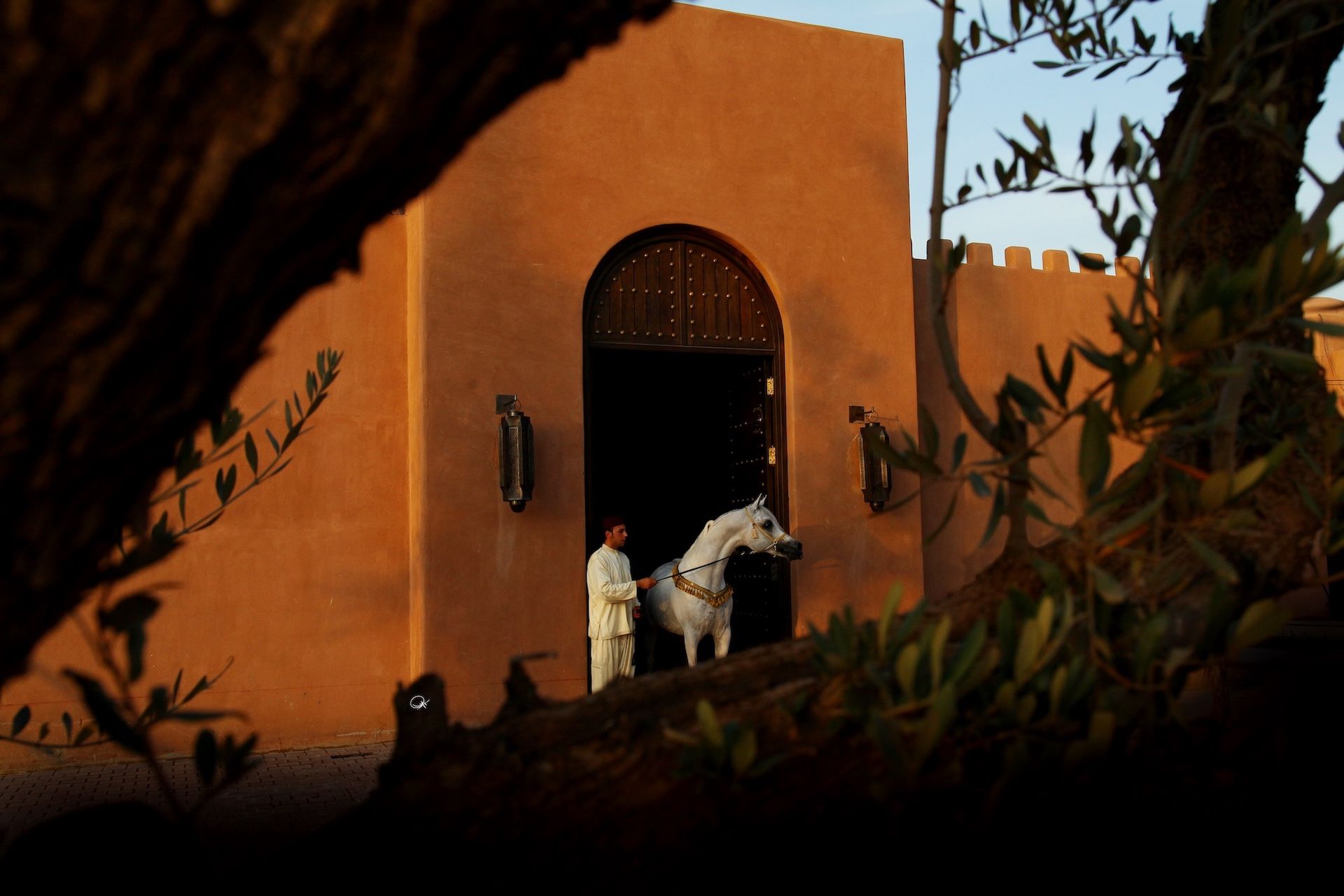 Selman Marrakech haras