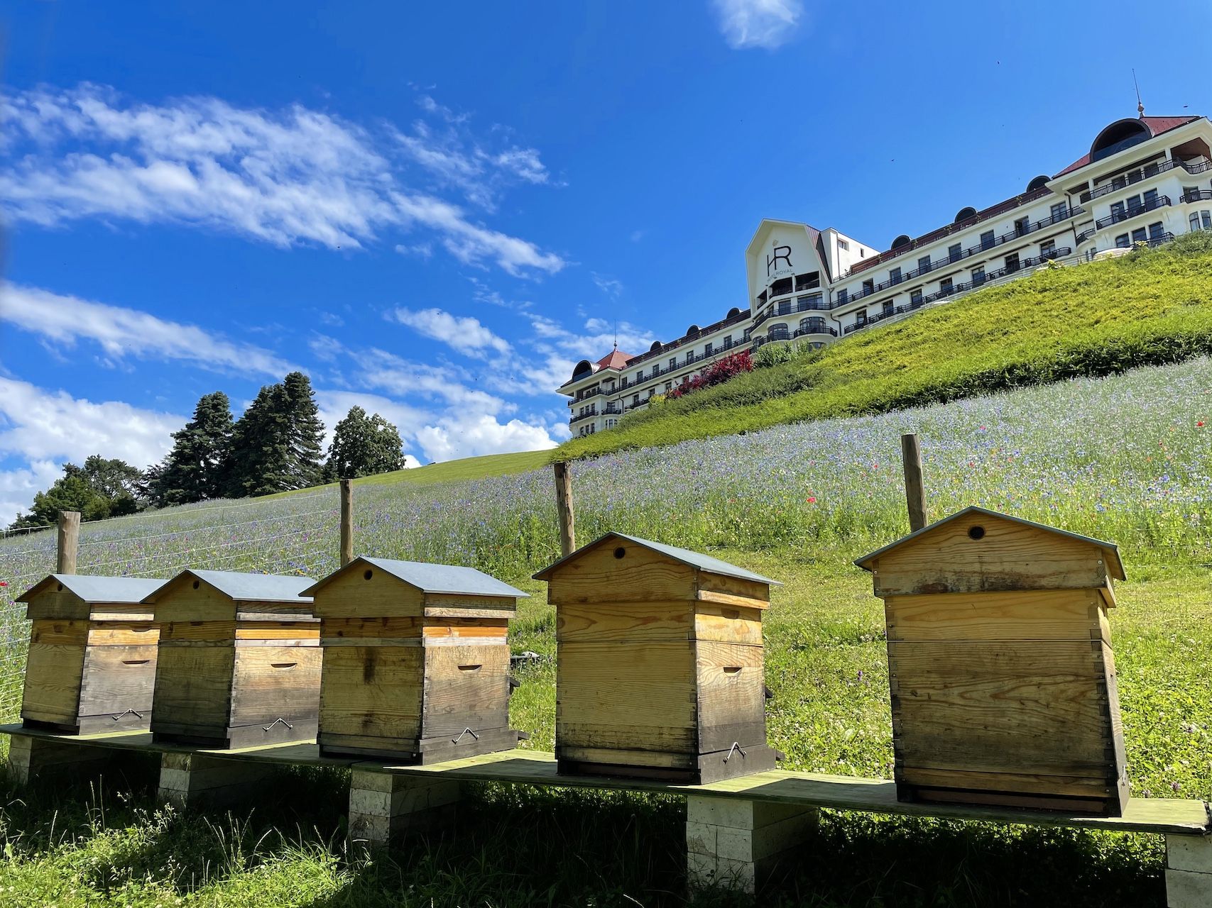 HOTEL ROYAL_Parc_Les ruches © Edouard Guibaud