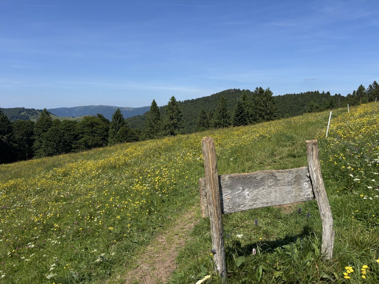Hautes Vosges IMG_3771 - Grande