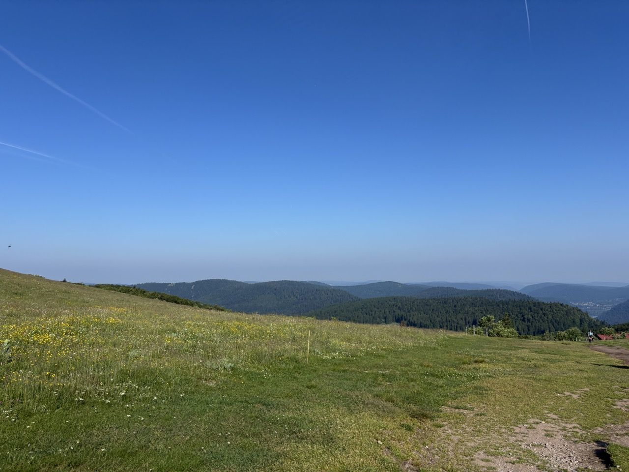 Hautes Vosges © Capucine Plume