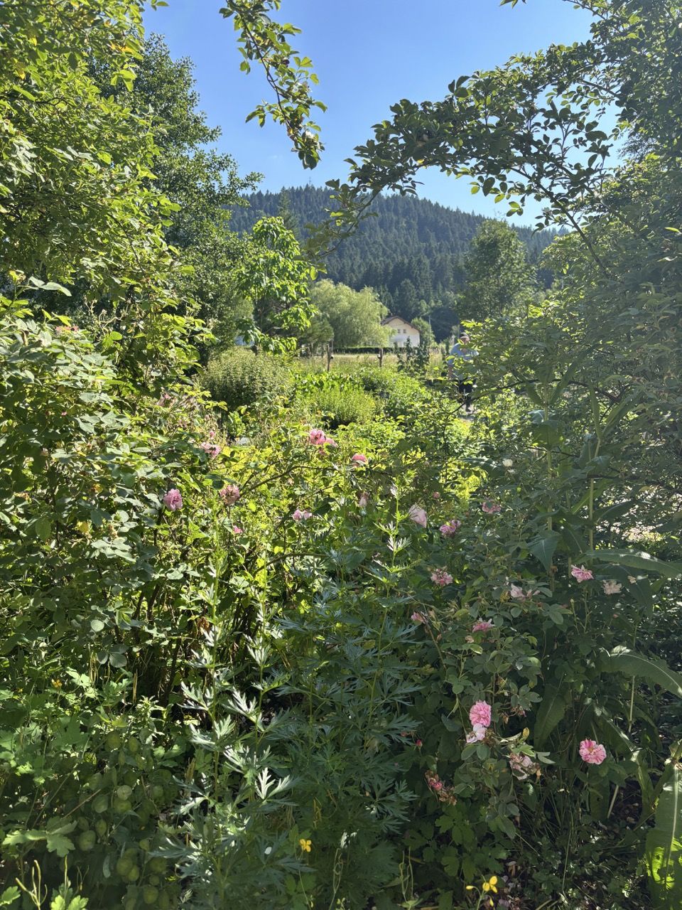 La Ferme du Bien Etre