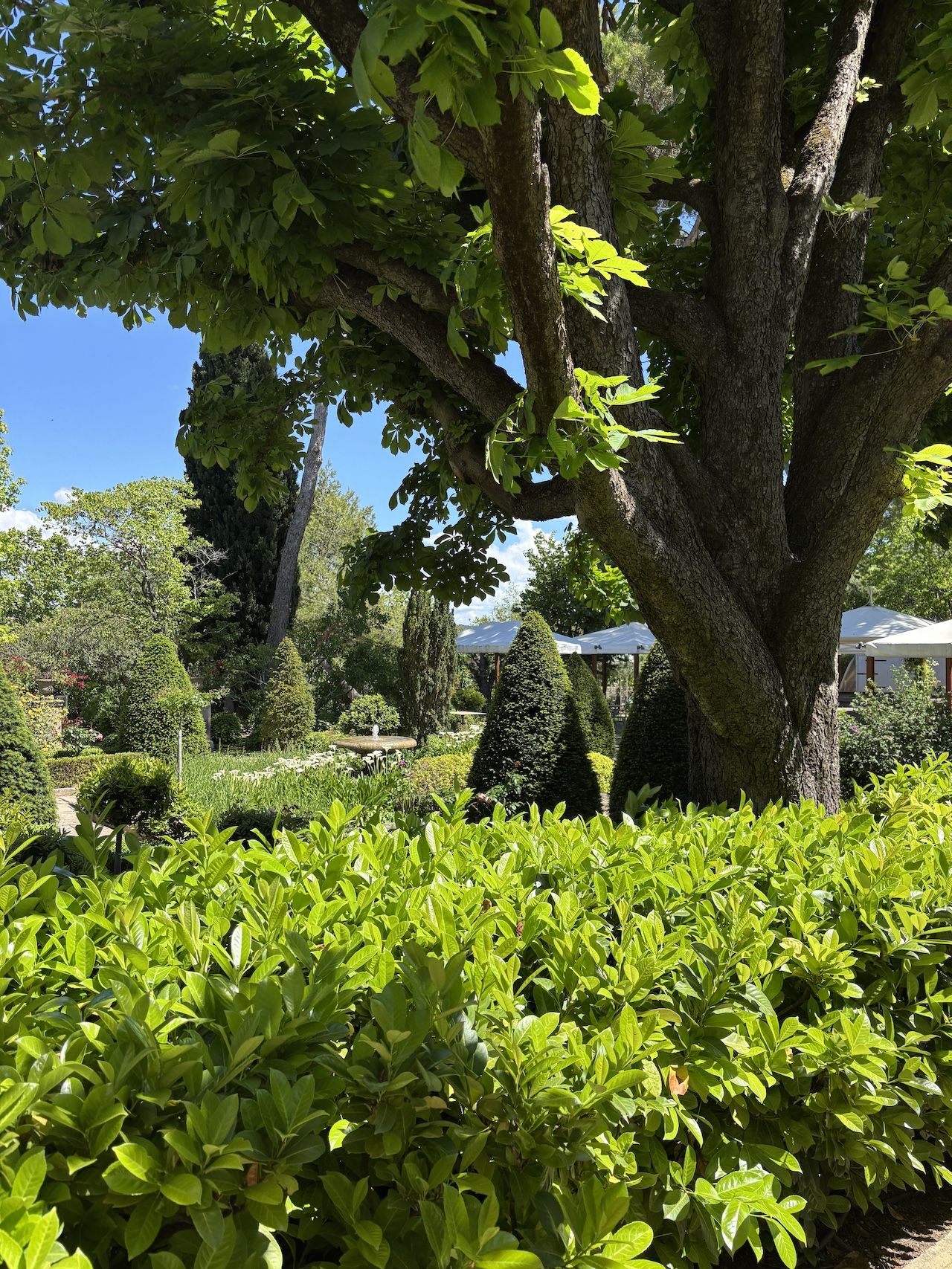LE PIGONNET À AIX EN PROVENCE