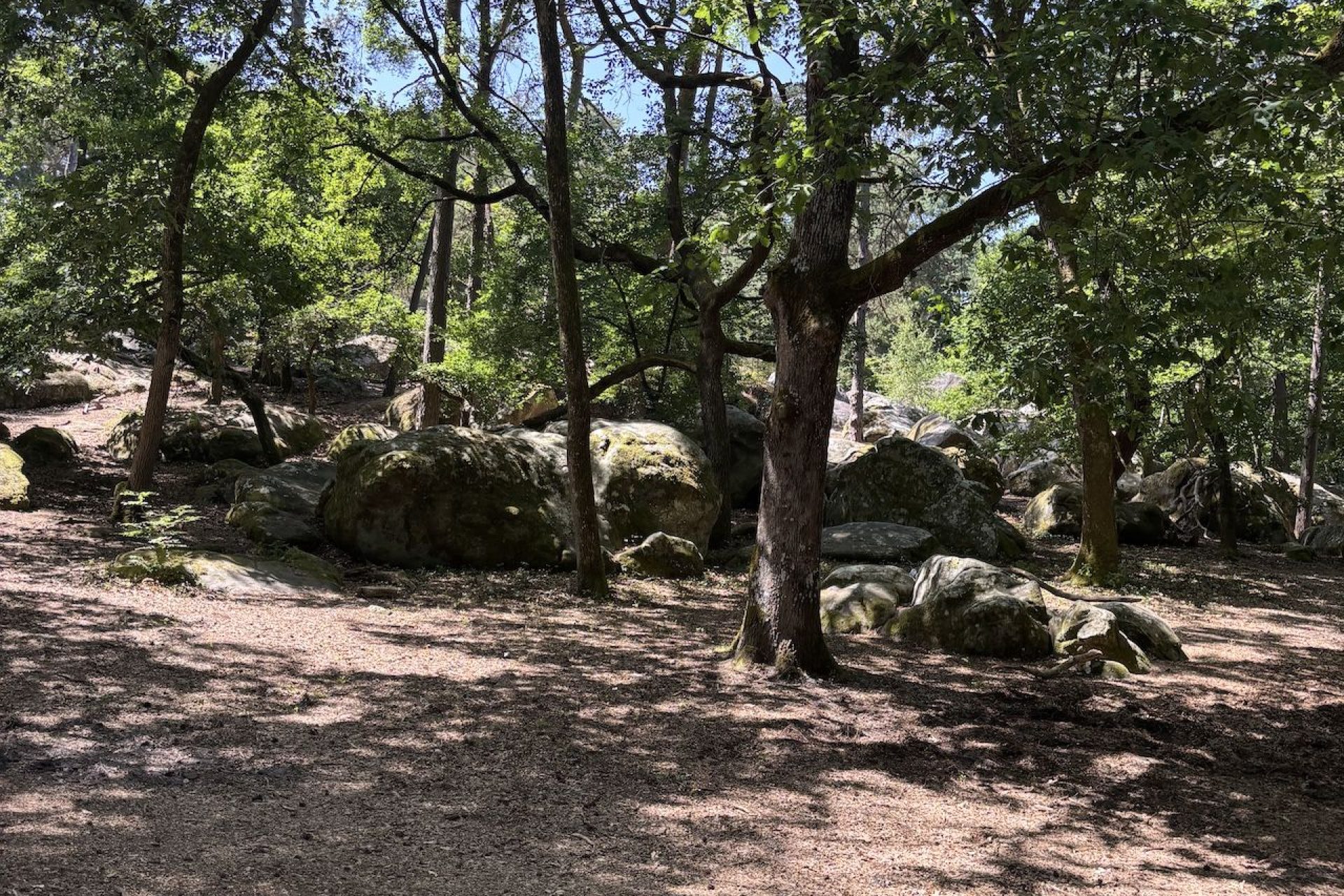 Forêt de Fontainebleau Barbizon