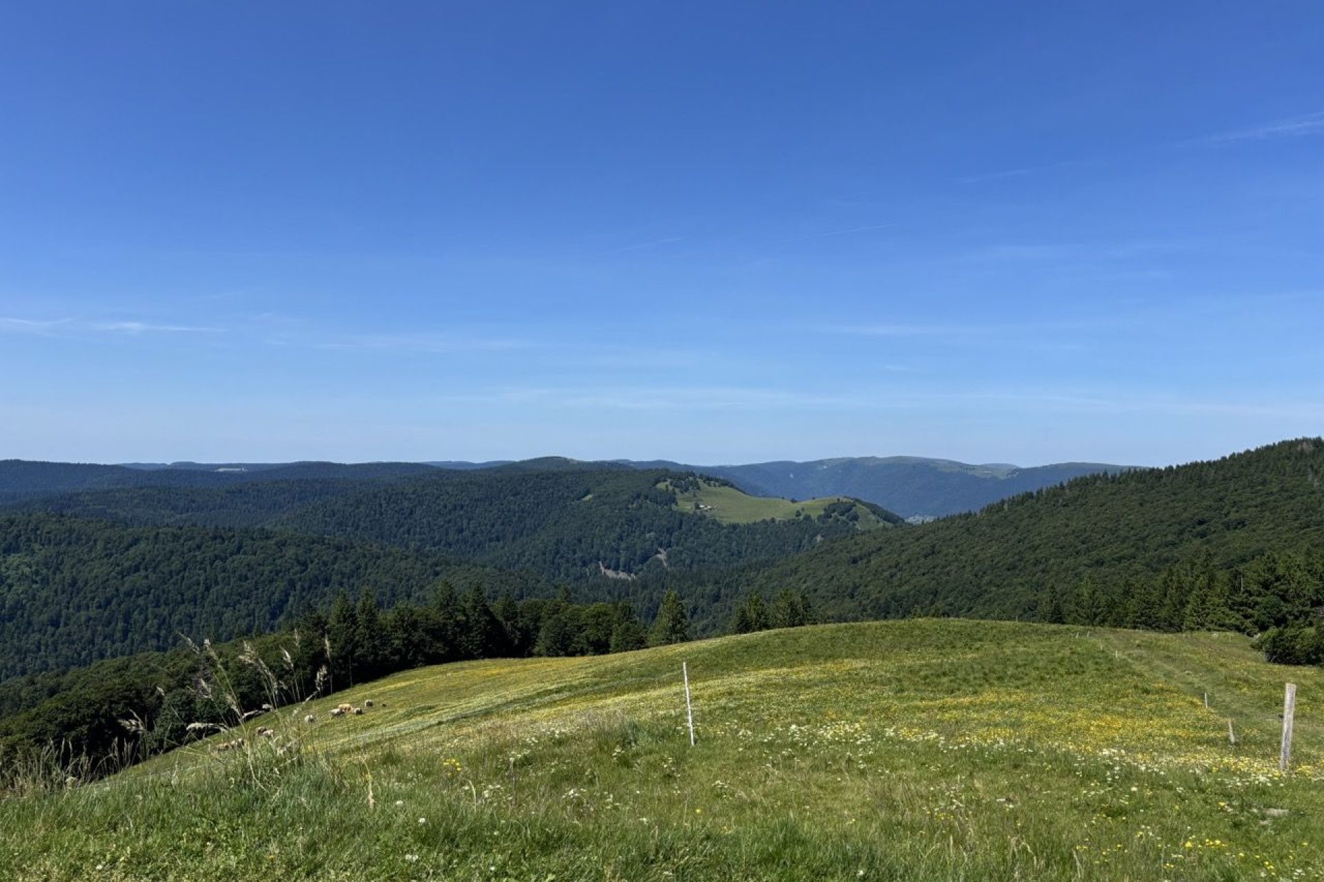 Hautes Vosge