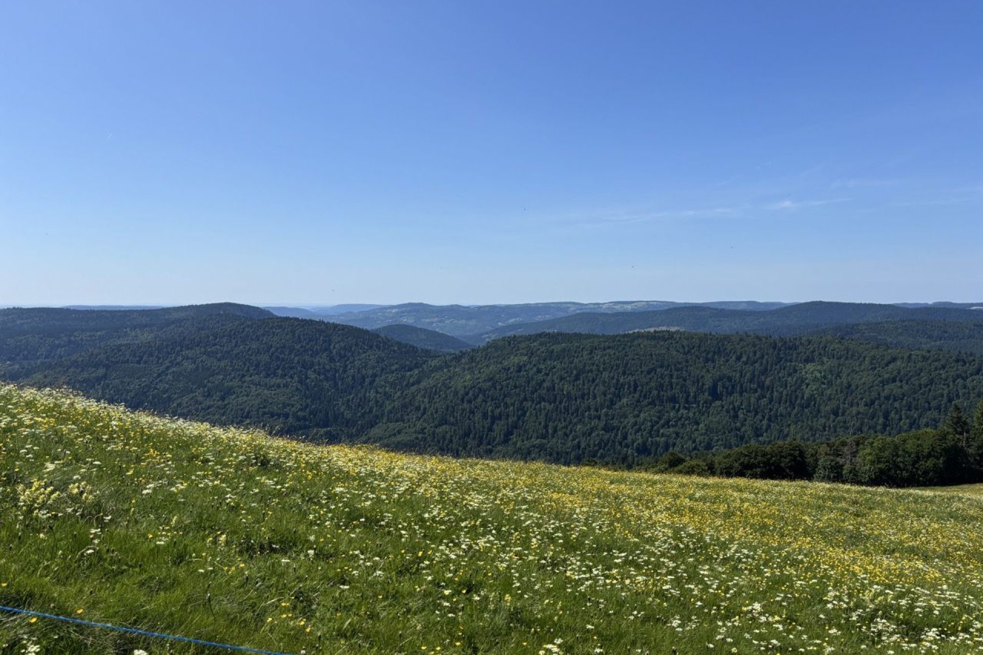 Hautes Vosges IMG_3754 - Grande