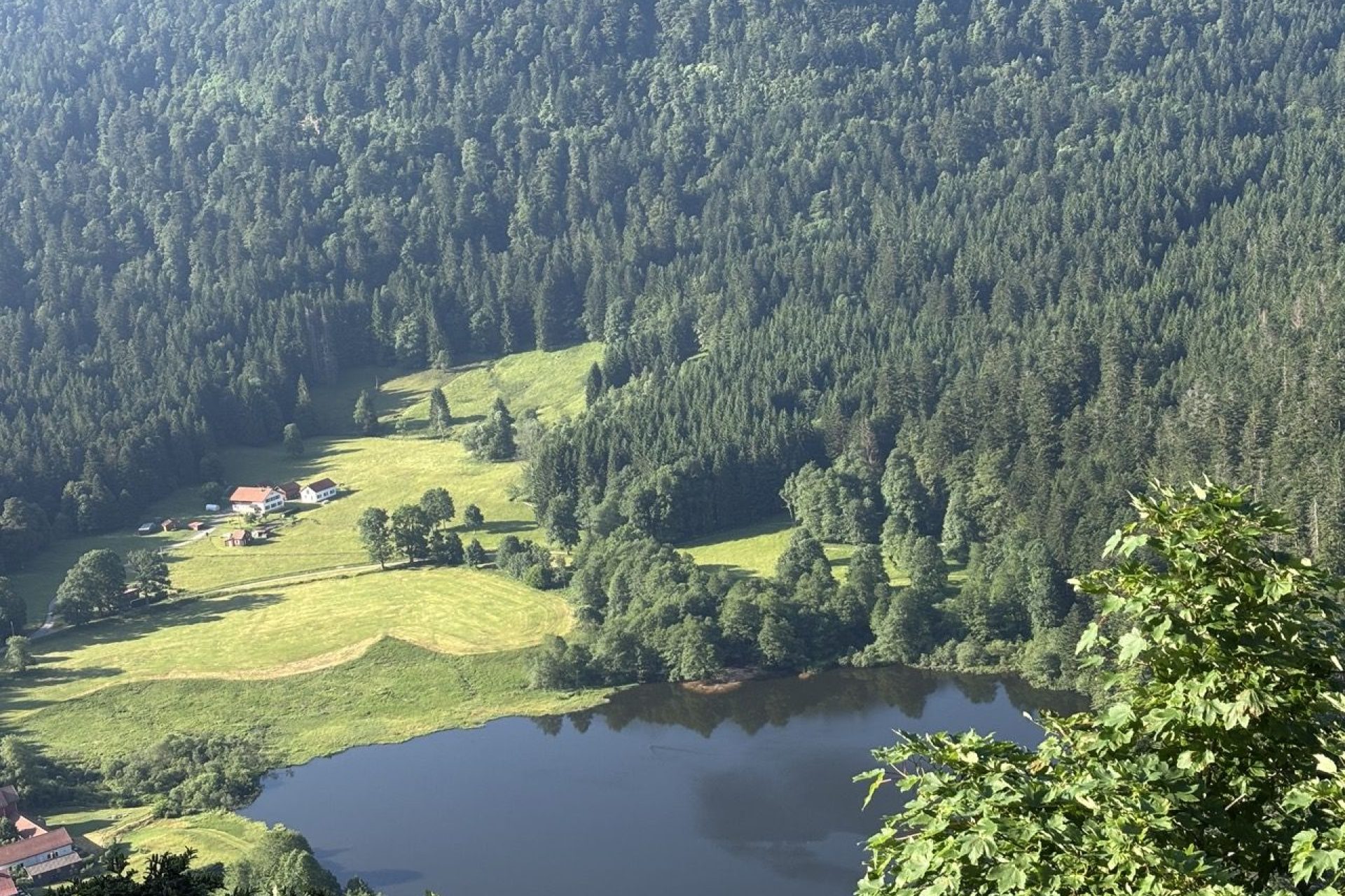 Hautes Vosges © Capucine Plume