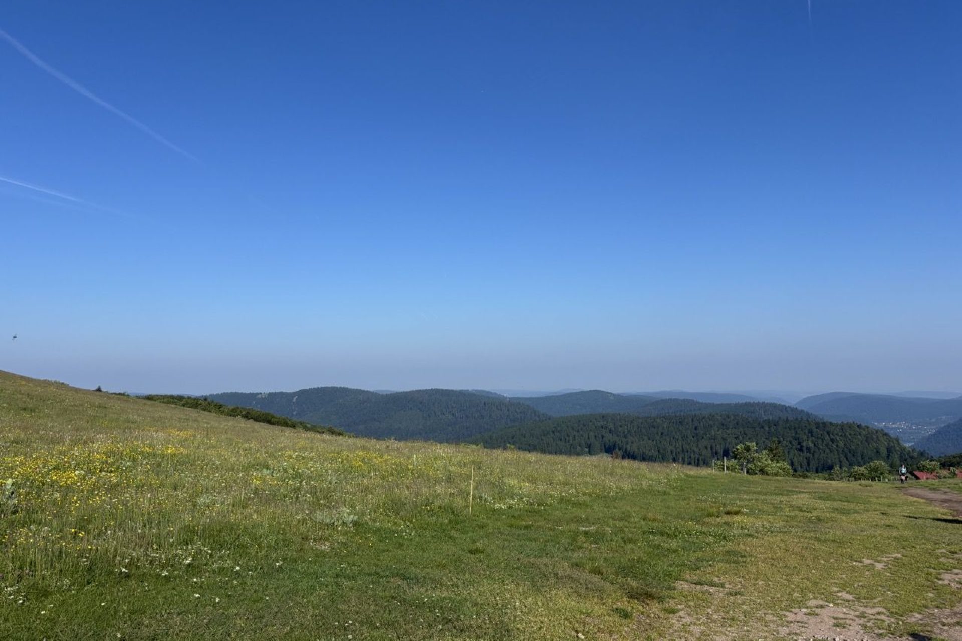 Hautes Vosges © Capucine Plume