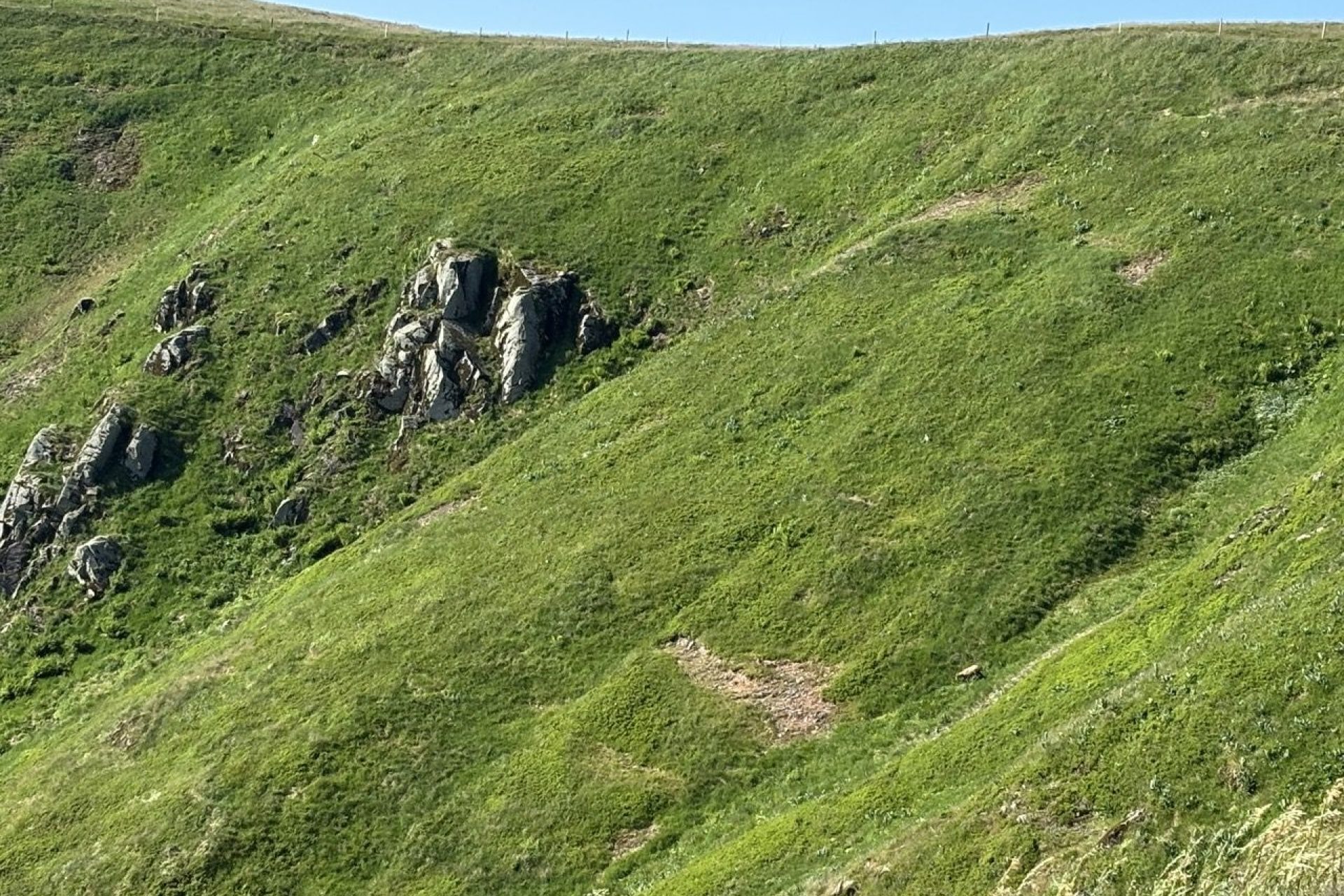 Hautes Vosges © Capucine Plume