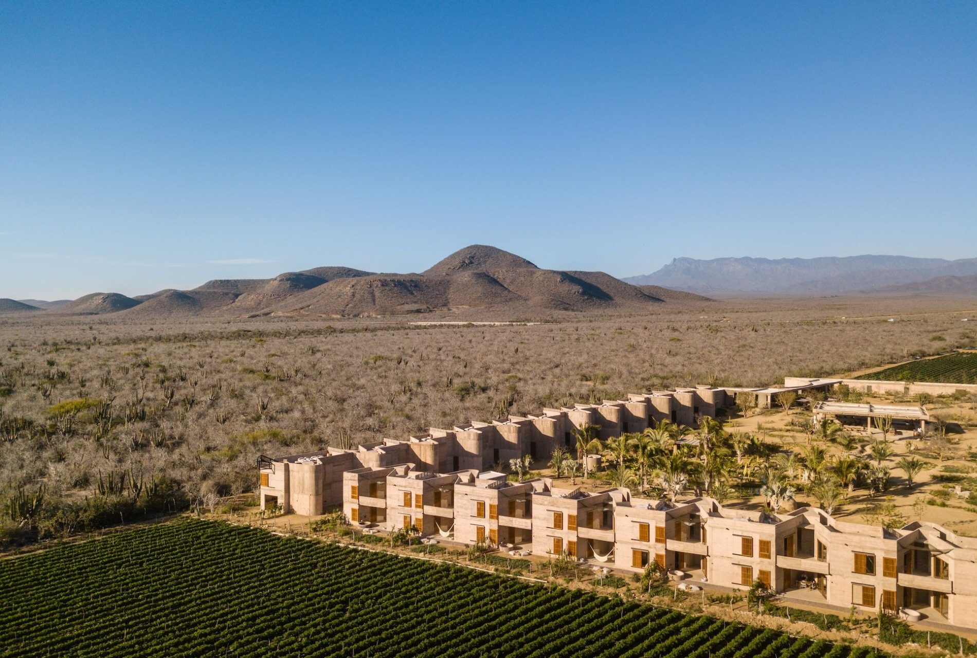 Sleeping in the Mexican desert