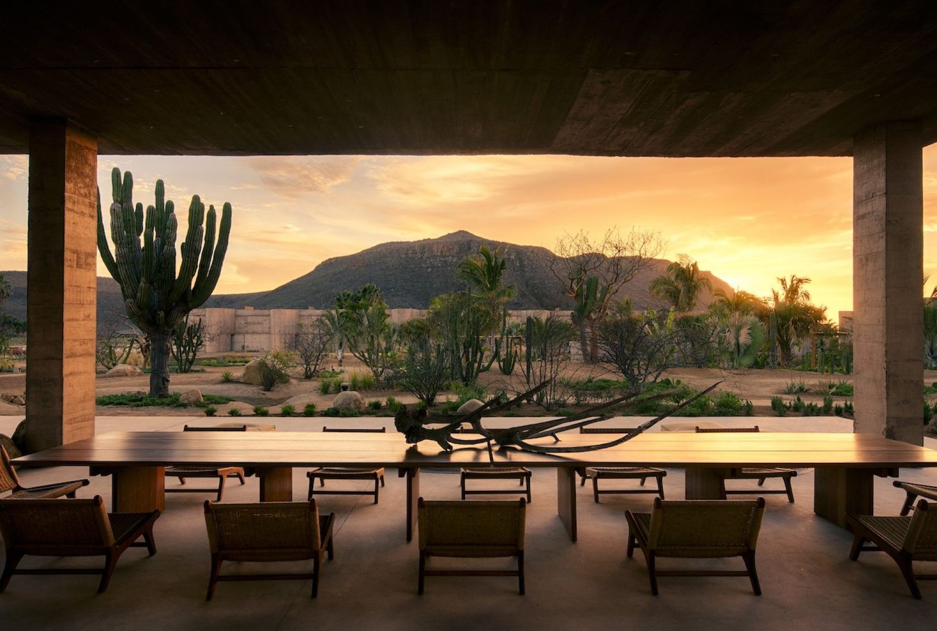 Sleeping in the Mexican desert
