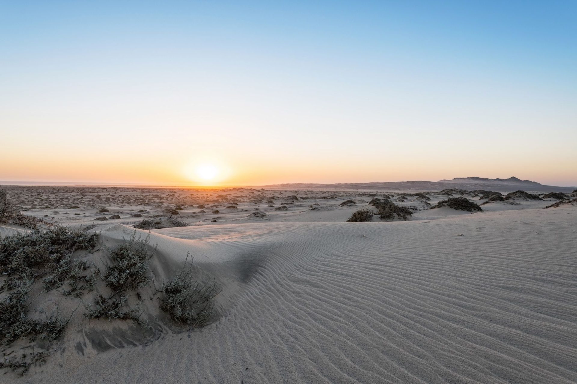 ©Shawn van eeden